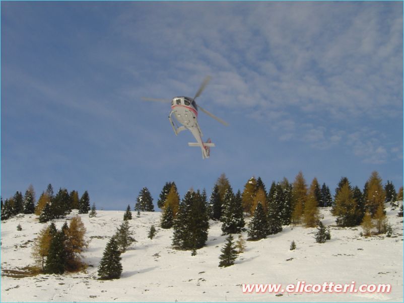 elifoto (39)